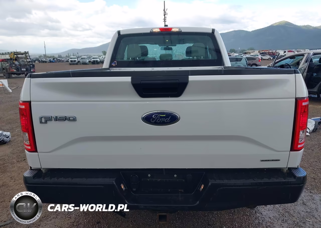 2016 Ford F-150 Xl VIN:1FTEX1CF7GFB30176 - 16