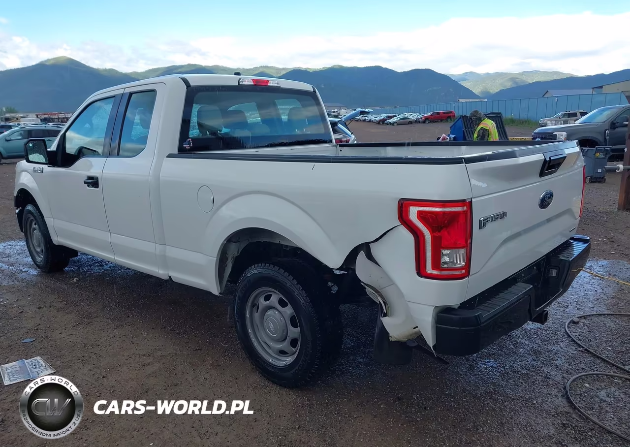 2016 Ford F-150 Xl VIN:1FTEX1CF7GFB30176 - 3