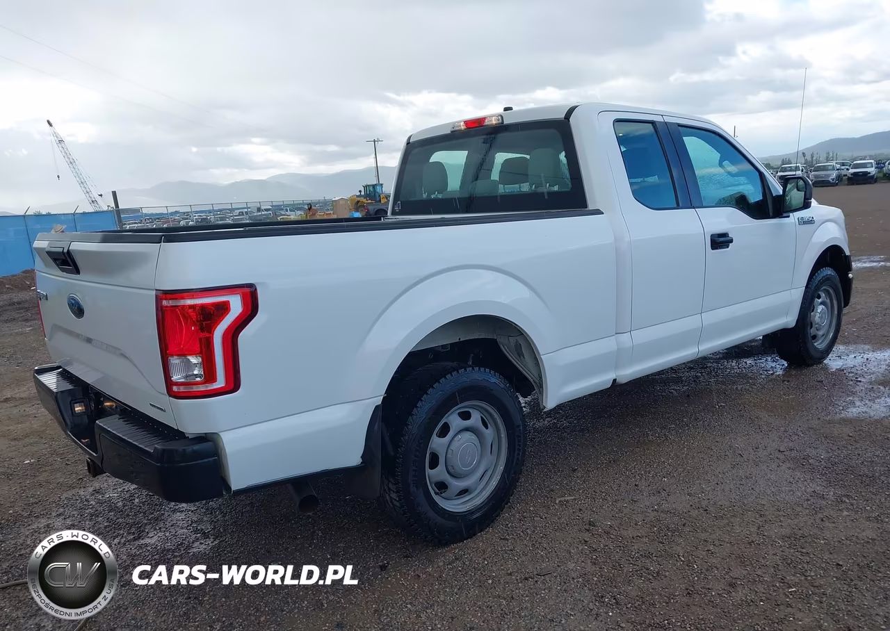 2016 Ford F-150 Xl VIN:1FTEX1CF7GFB30176 - 4