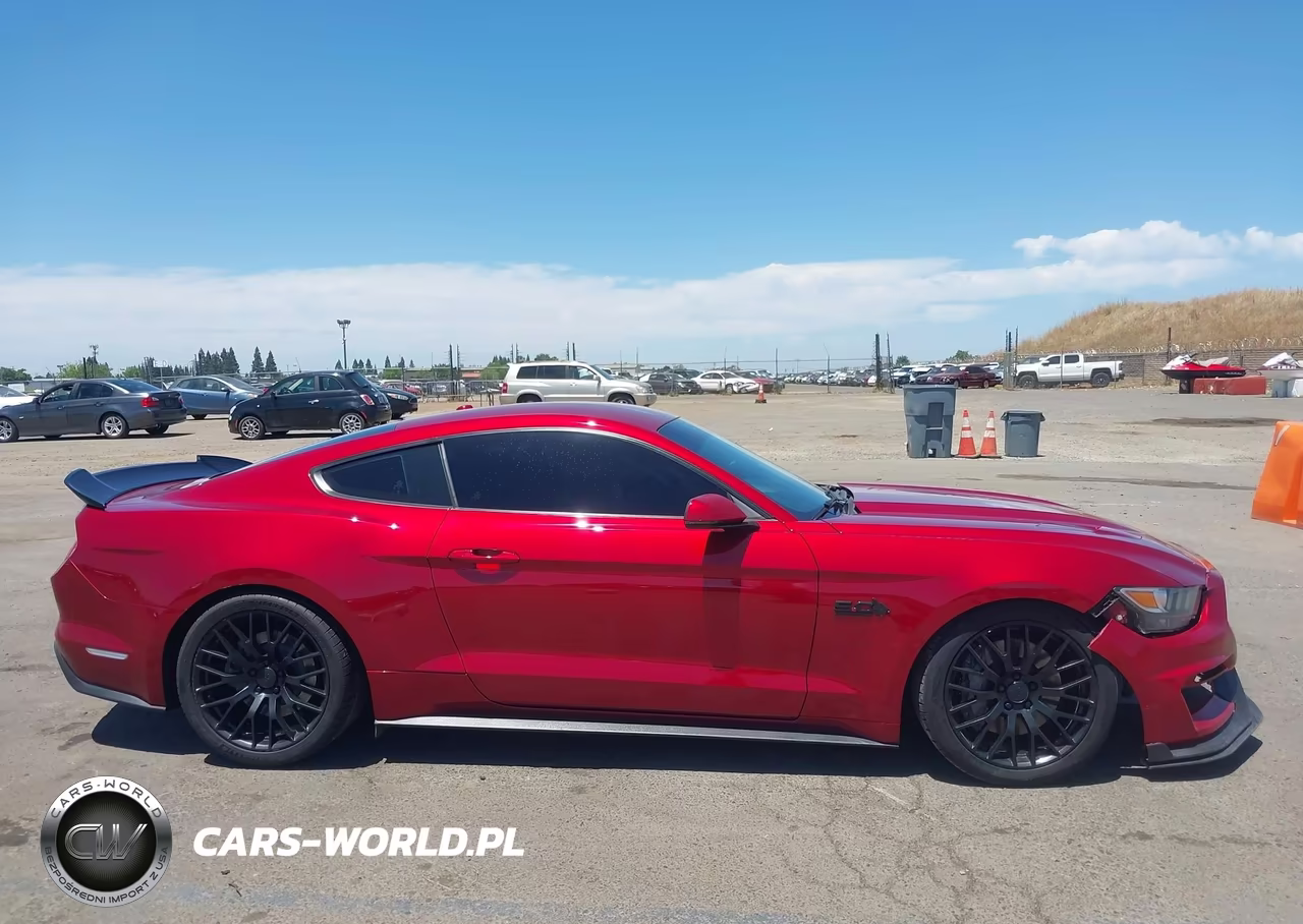 2015 Ford Mustang Gt Premium VIN:1FA6P8CF3F5376911 - 13