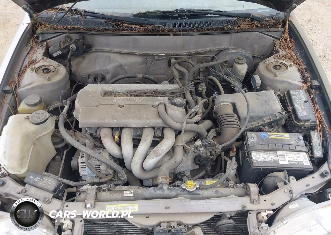 1999 Toyota Corolla Ve VIN:1NXBR12E5XZ186906 - 10