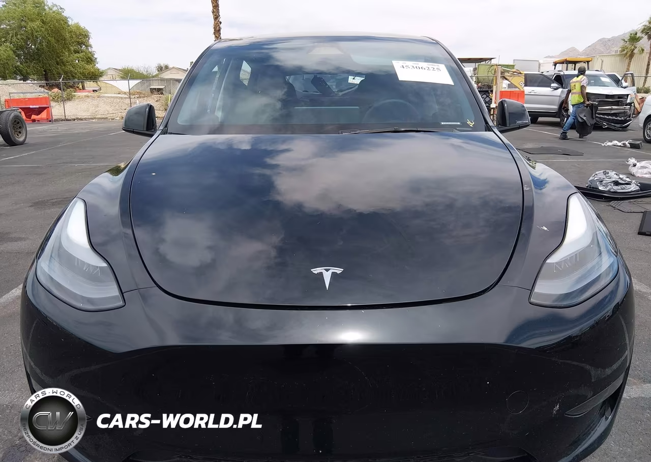 2025 Tesla Model Y Long Range Dual Motor Rear-Wheel Drive VIN:7SAYGDED9SF313878 - 12