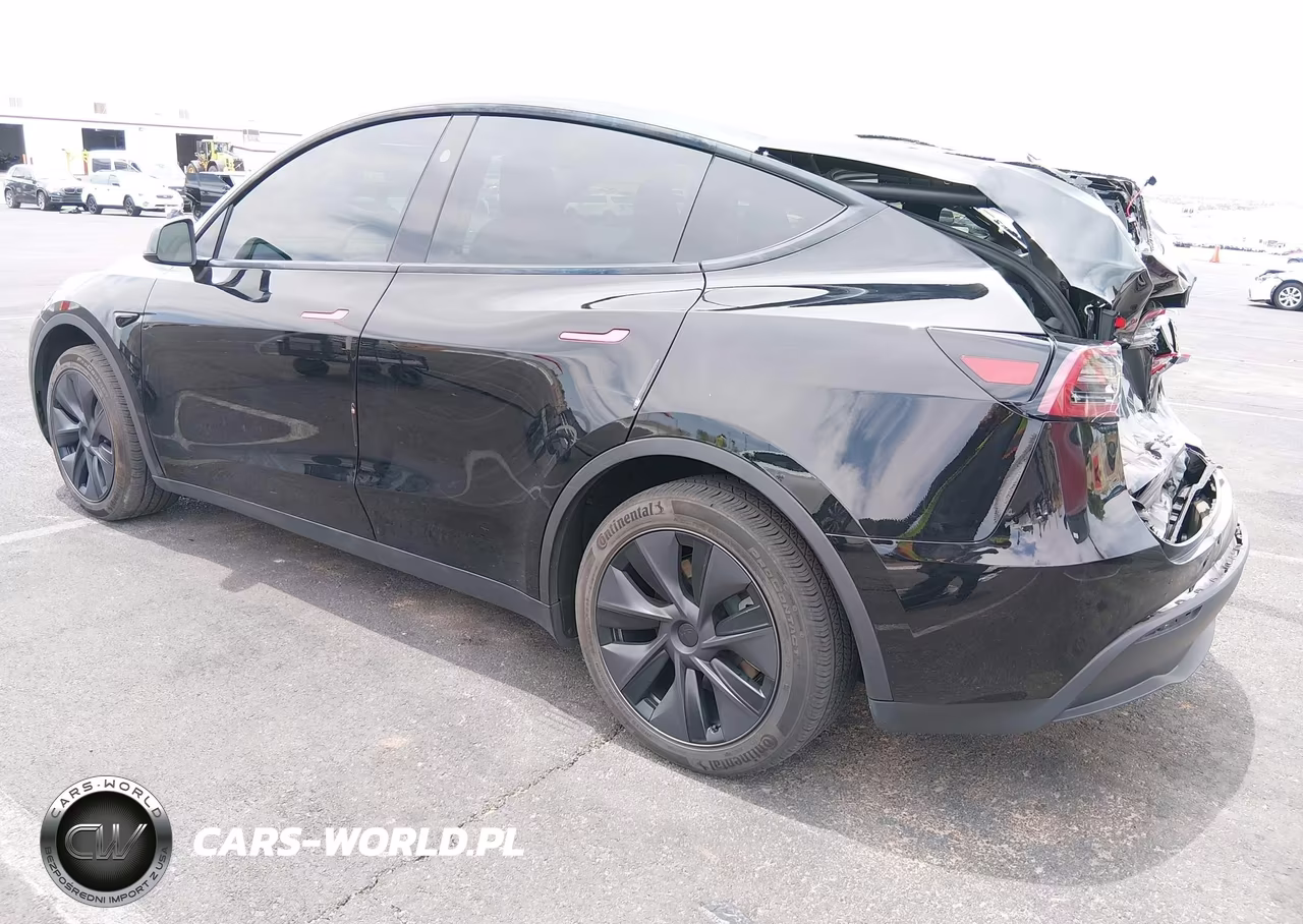 2025 Tesla Model Y Long Range Dual Motor Rear-Wheel Drive VIN:7SAYGDED9SF313878 - 3