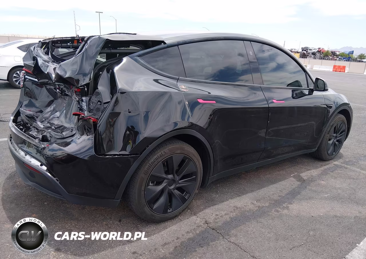 2025 Tesla Model Y Long Range Dual Motor Rear-Wheel Drive VIN:7SAYGDED9SF313878 - 4