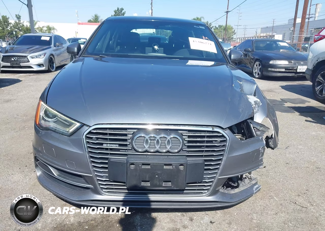 2016 Audi A3 E-Tron 1.4T Premium VIN:WAUUPBFF4GA139103 - 12