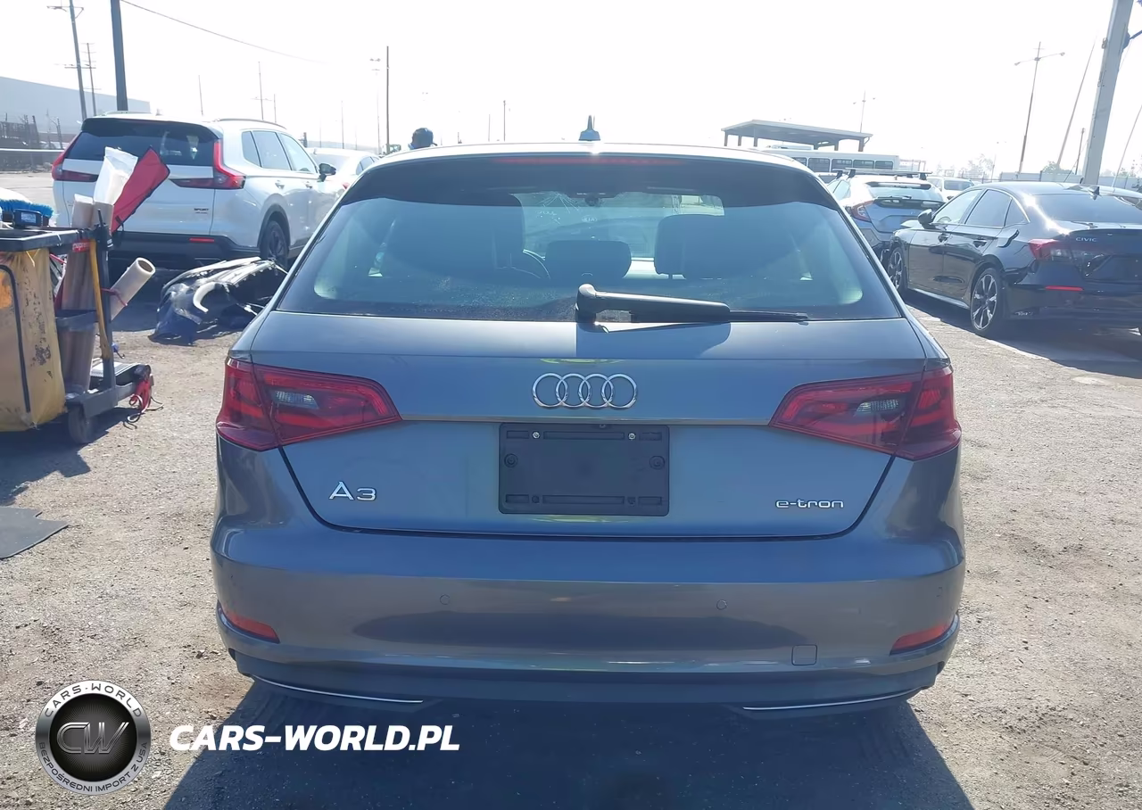 2016 Audi A3 E-Tron 1.4T Premium VIN:WAUUPBFF4GA139103 - 16