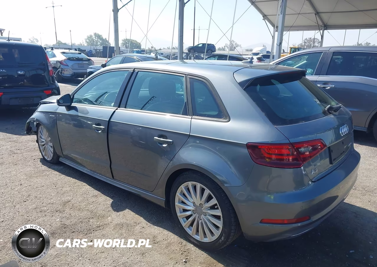 2016 Audi A3 E-Tron 1.4T Premium VIN:WAUUPBFF4GA139103 - 3