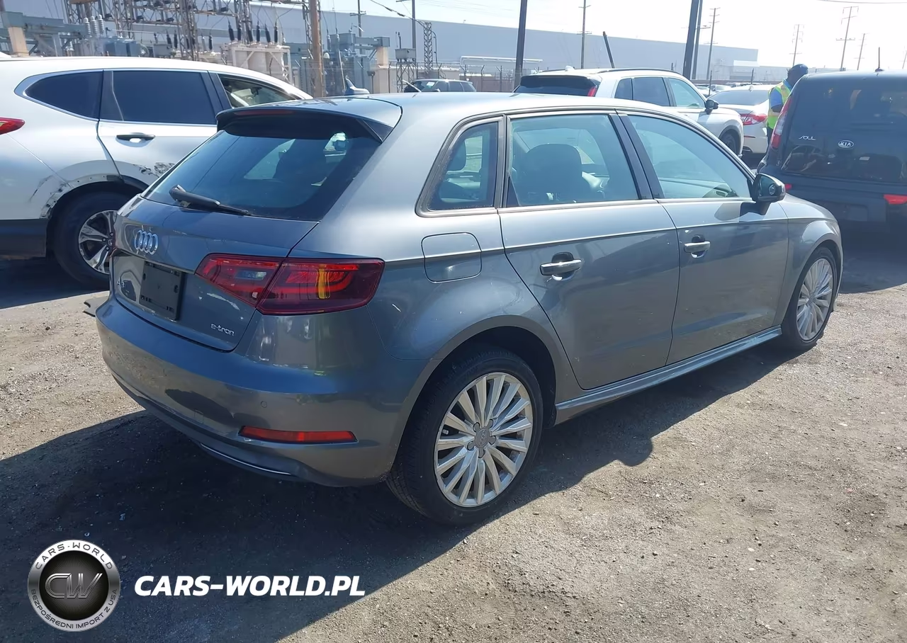 2016 Audi A3 E-Tron 1.4T Premium VIN:WAUUPBFF4GA139103 - 4