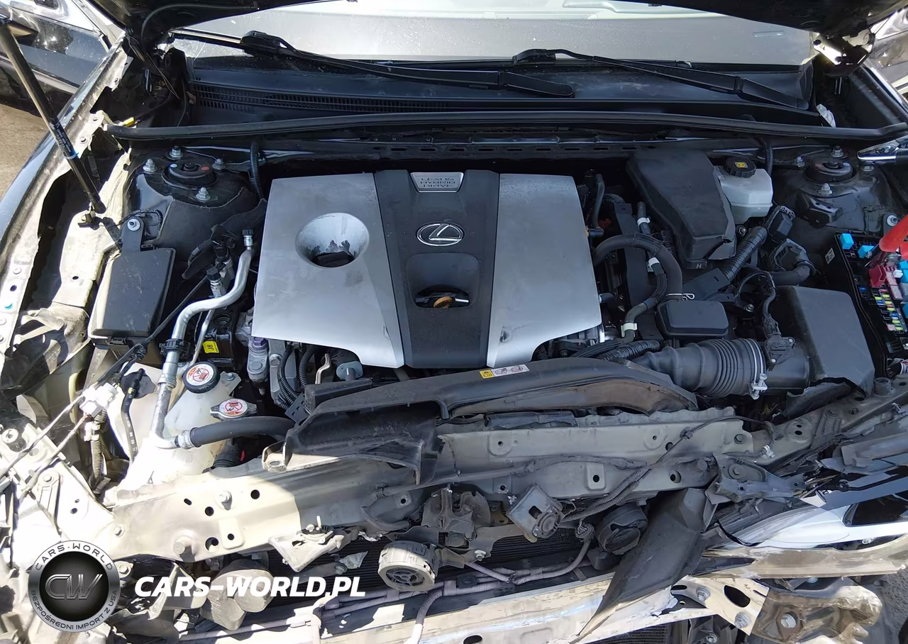 2020 Lexus Es 300H VIN:58AC21B14LU005724 - 10