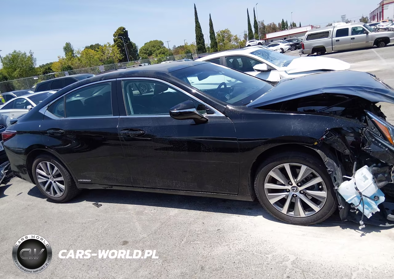 2020 Lexus Es 300H VIN:58AC21B14LU005724 - 13