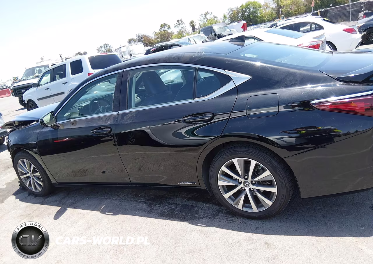 2020 Lexus Es 300H VIN:58AC21B14LU005724 - 14