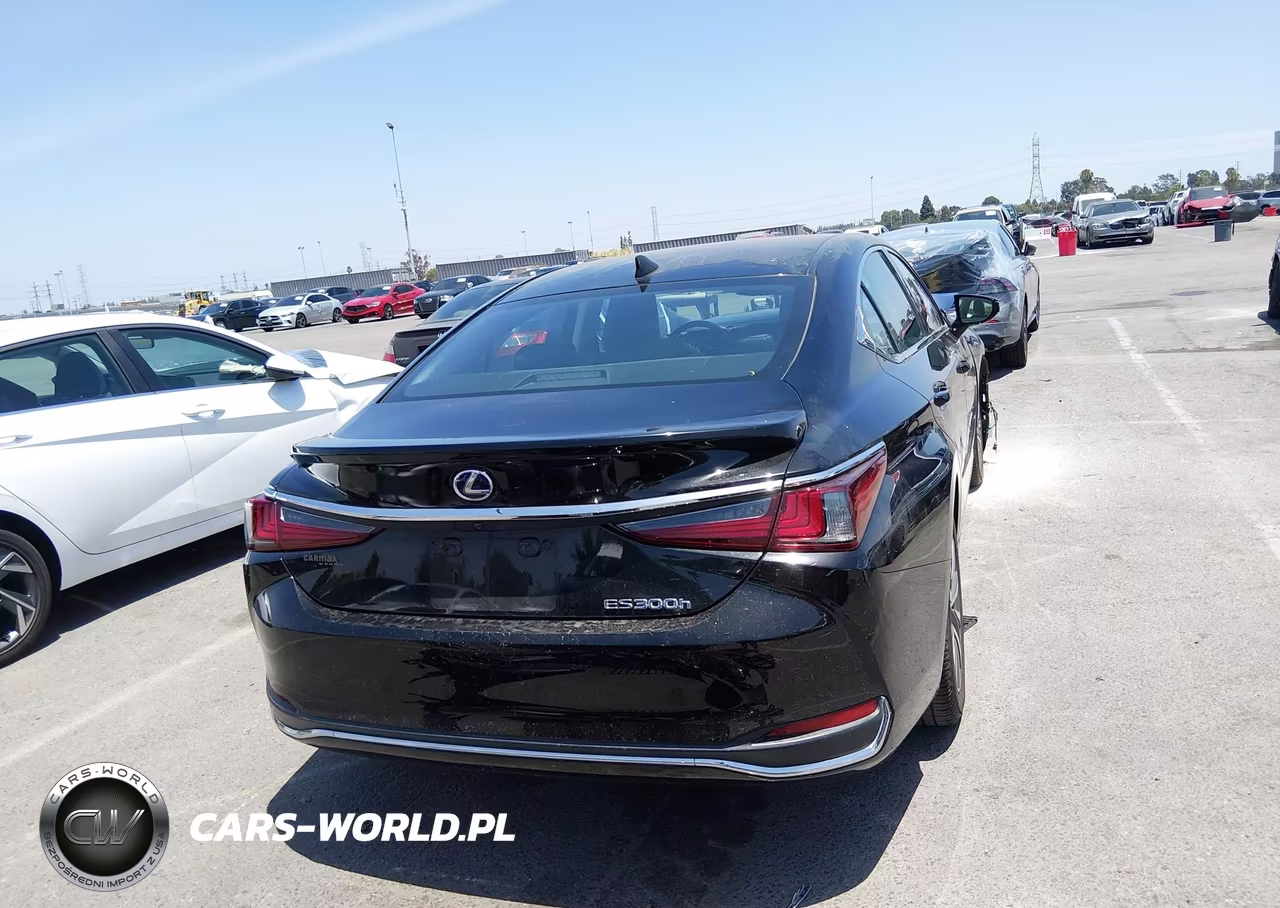 2020 Lexus Es 300H VIN:58AC21B14LU005724 - 16