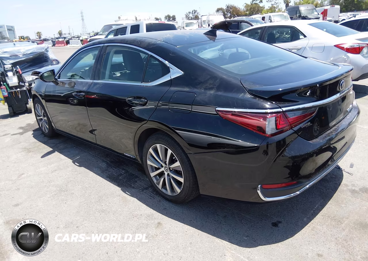 2020 Lexus Es 300H VIN:58AC21B14LU005724 - 3