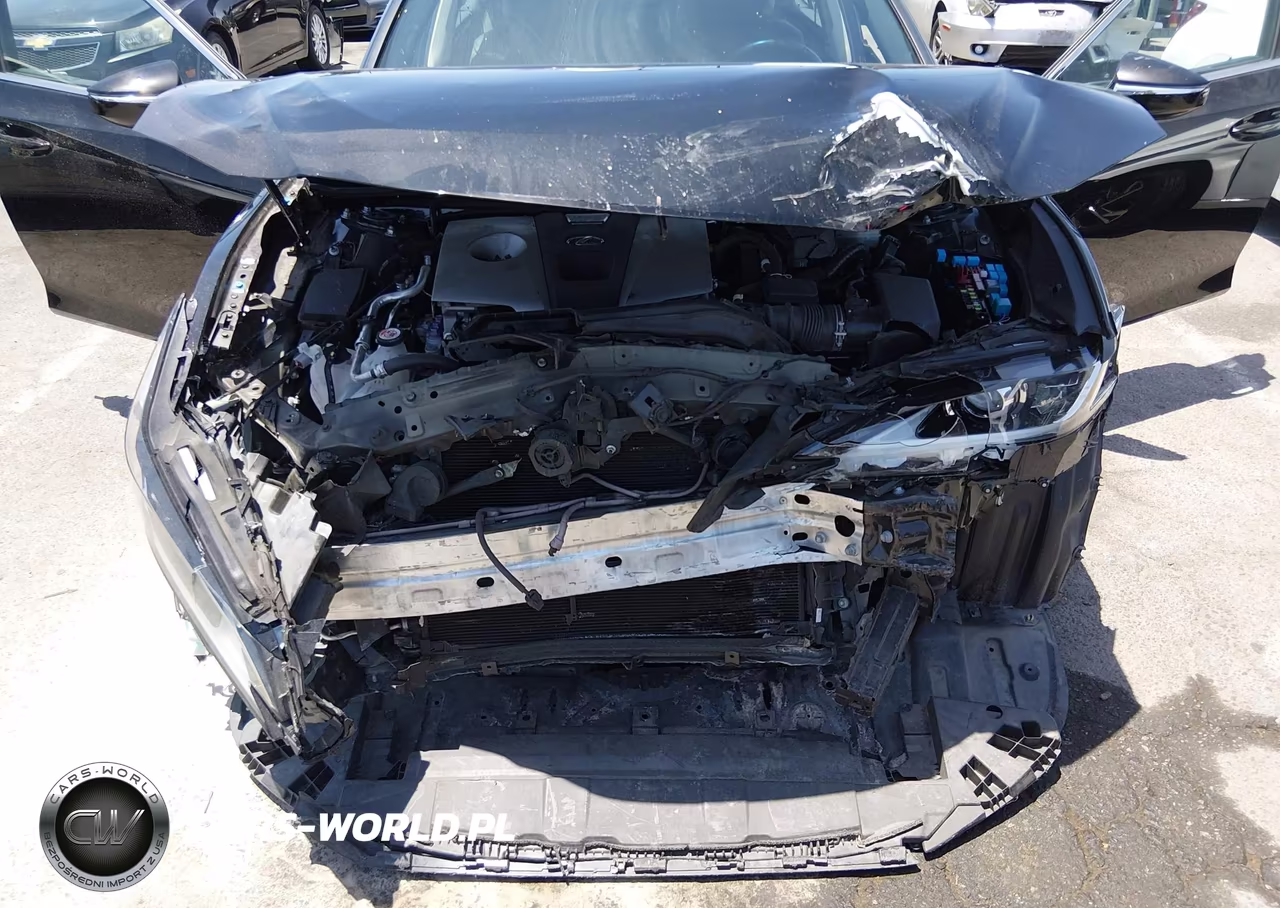 2020 Lexus Es 300H VIN:58AC21B14LU005724 - 6