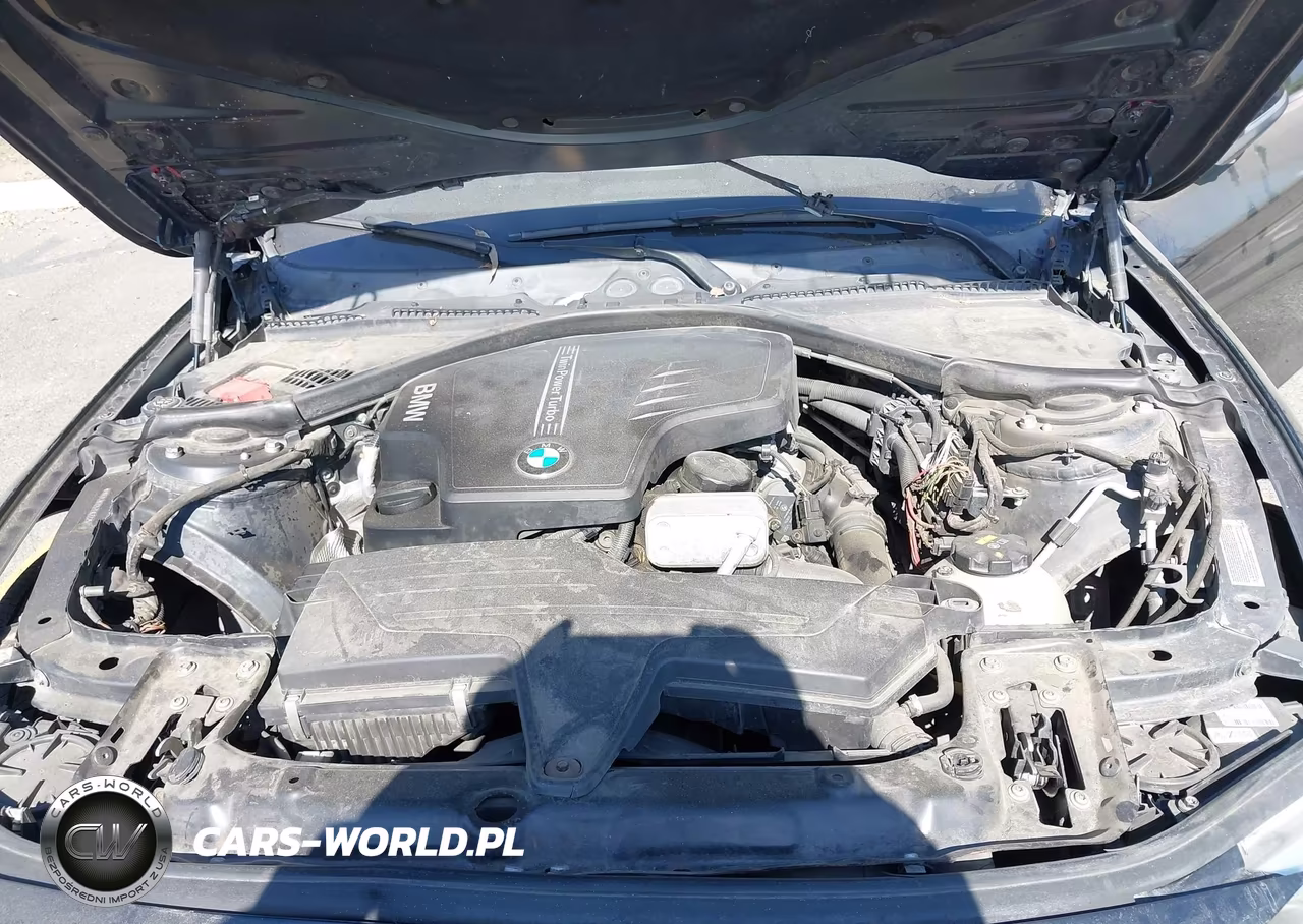 2015 BMW 428I VIN:WBA3N7C57FK222527 - 10