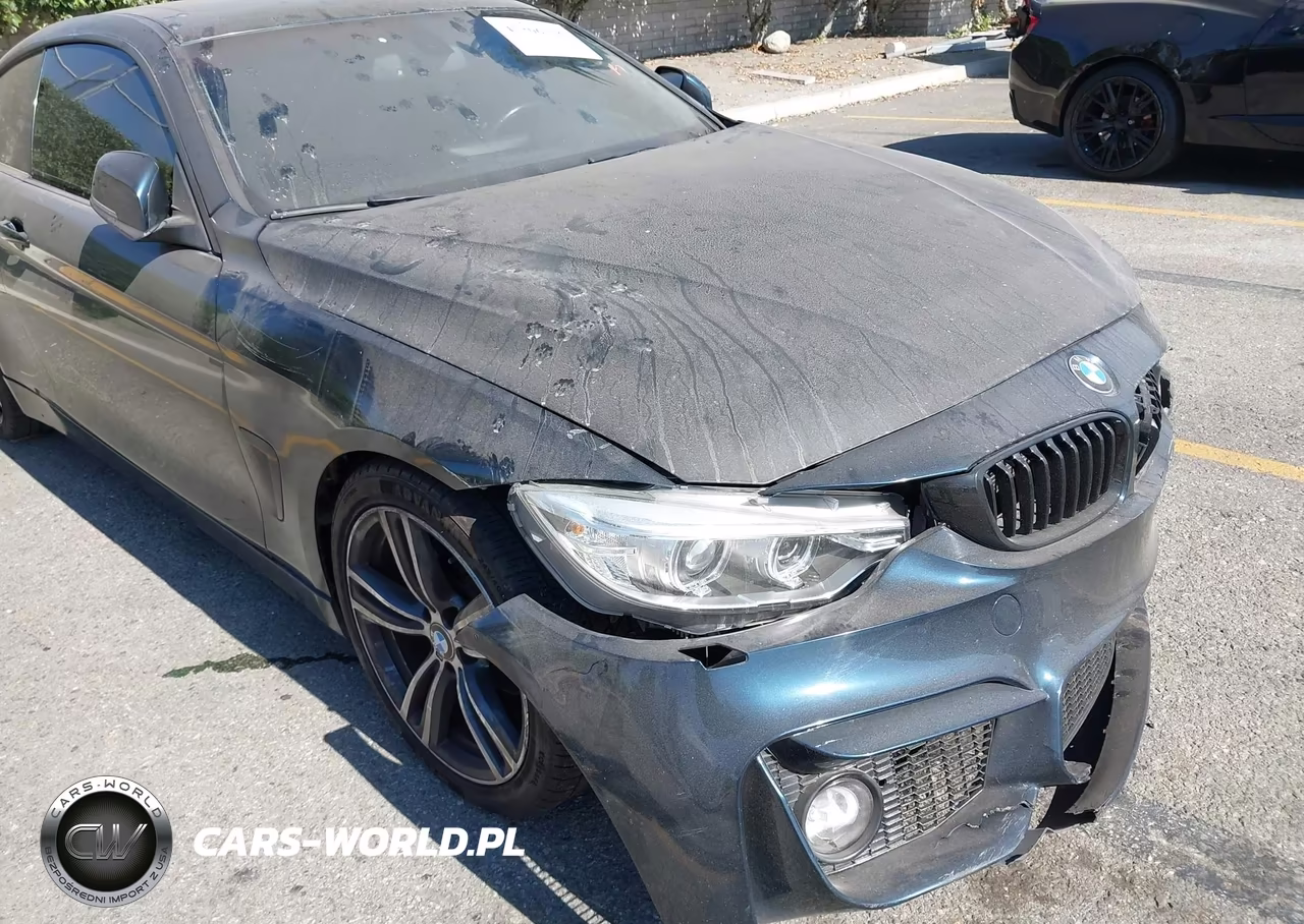 2015 BMW 428I VIN:WBA3N7C57FK222527 - 12