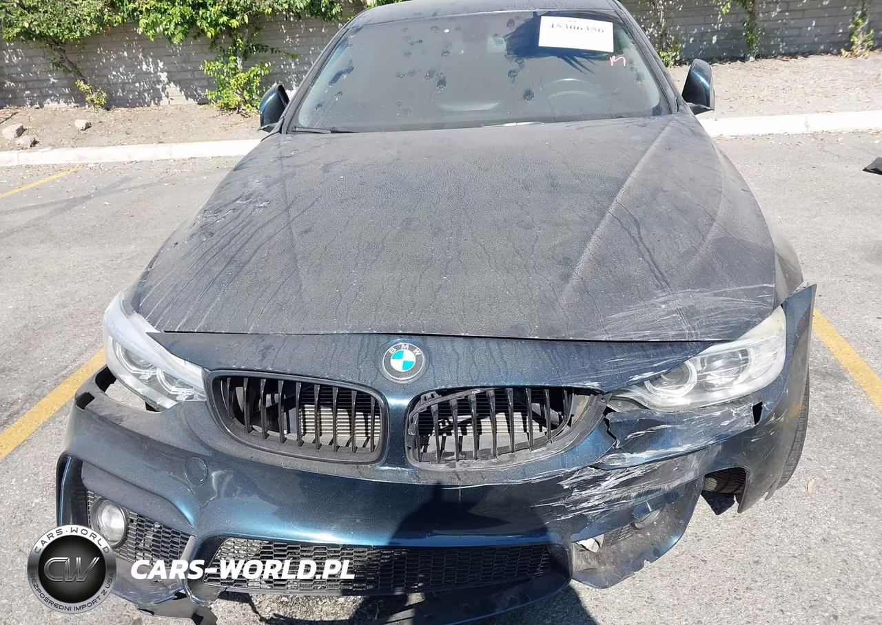 2015 BMW 428I VIN:WBA3N7C57FK222527 - 13