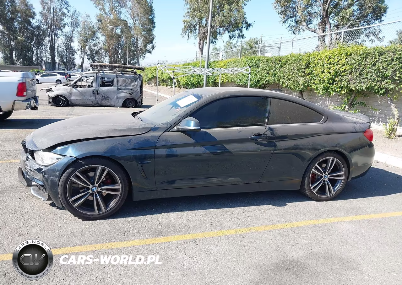 2015 BMW 428I VIN:WBA3N7C57FK222527 - 16