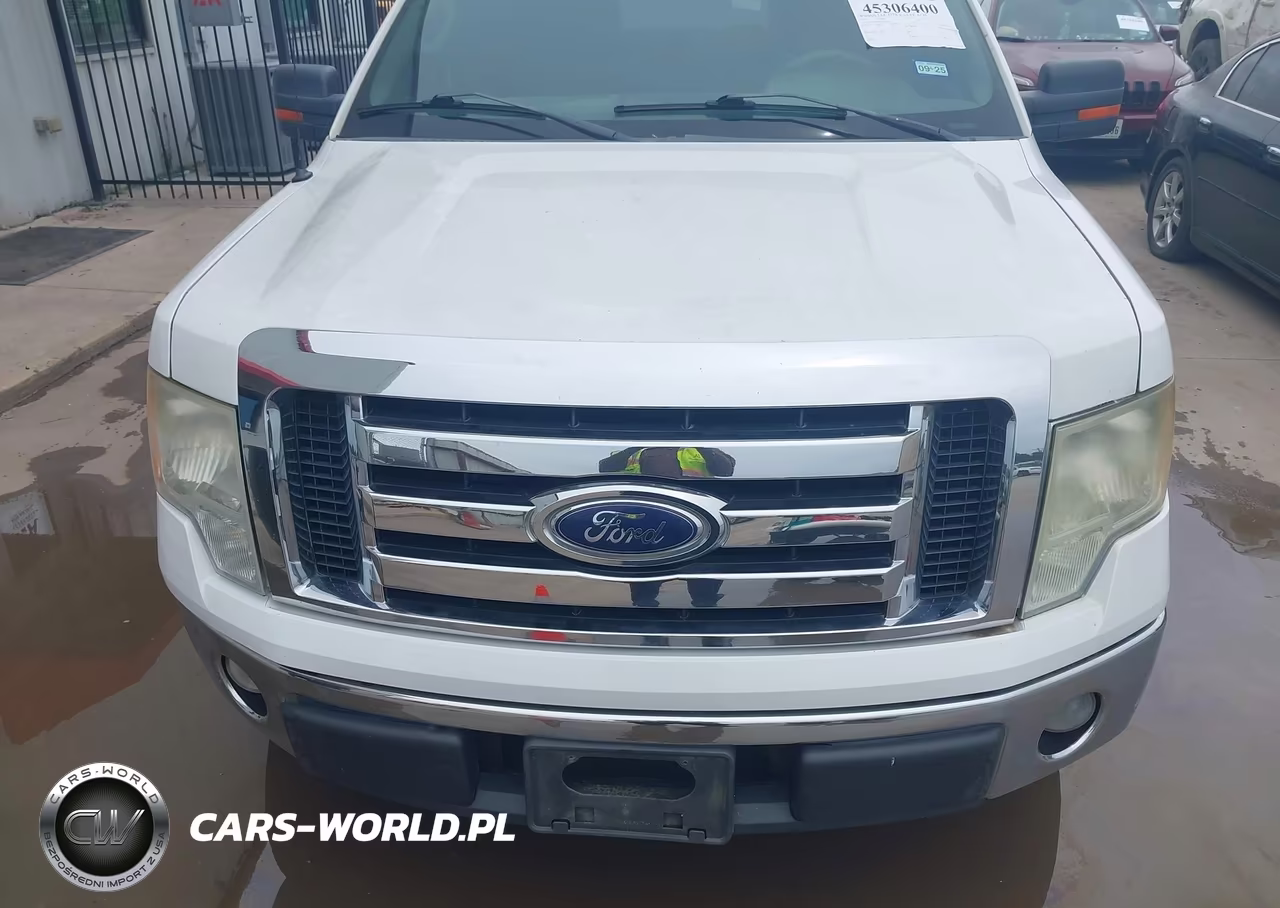 2010 Ford F-150 Fx2 Sport-Xl-Xlt VIN:1FTEW1C88AFD91084 - 12
