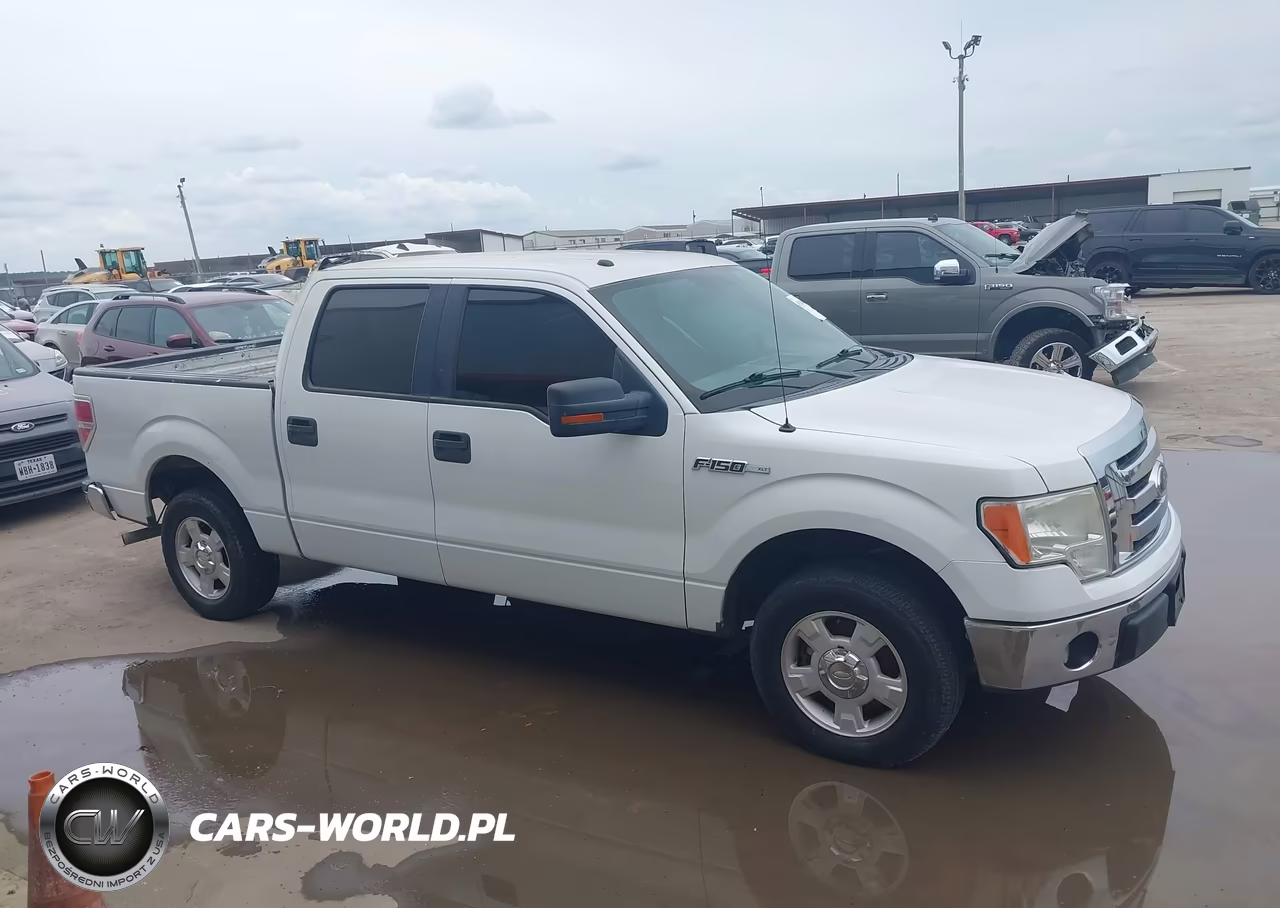 2010 Ford F-150 Fx2 Sport-Xl-Xlt VIN:1FTEW1C88AFD91084 - 13