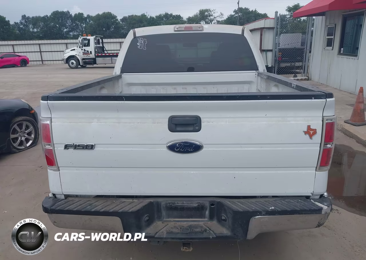 2010 Ford F-150 Fx2 Sport-Xl-Xlt VIN:1FTEW1C88AFD91084 - 16
