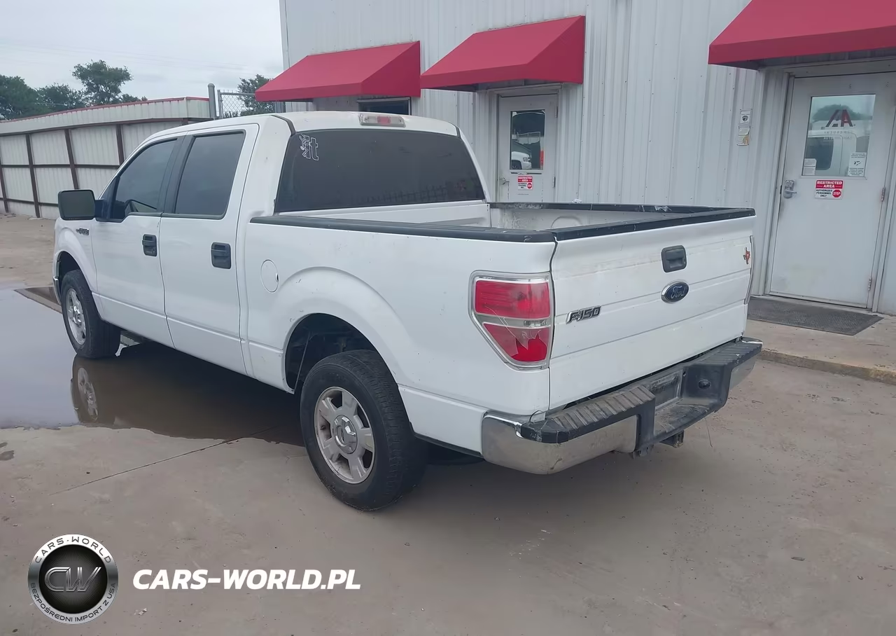 2010 Ford F-150 Fx2 Sport-Xl-Xlt VIN:1FTEW1C88AFD91084 - 3