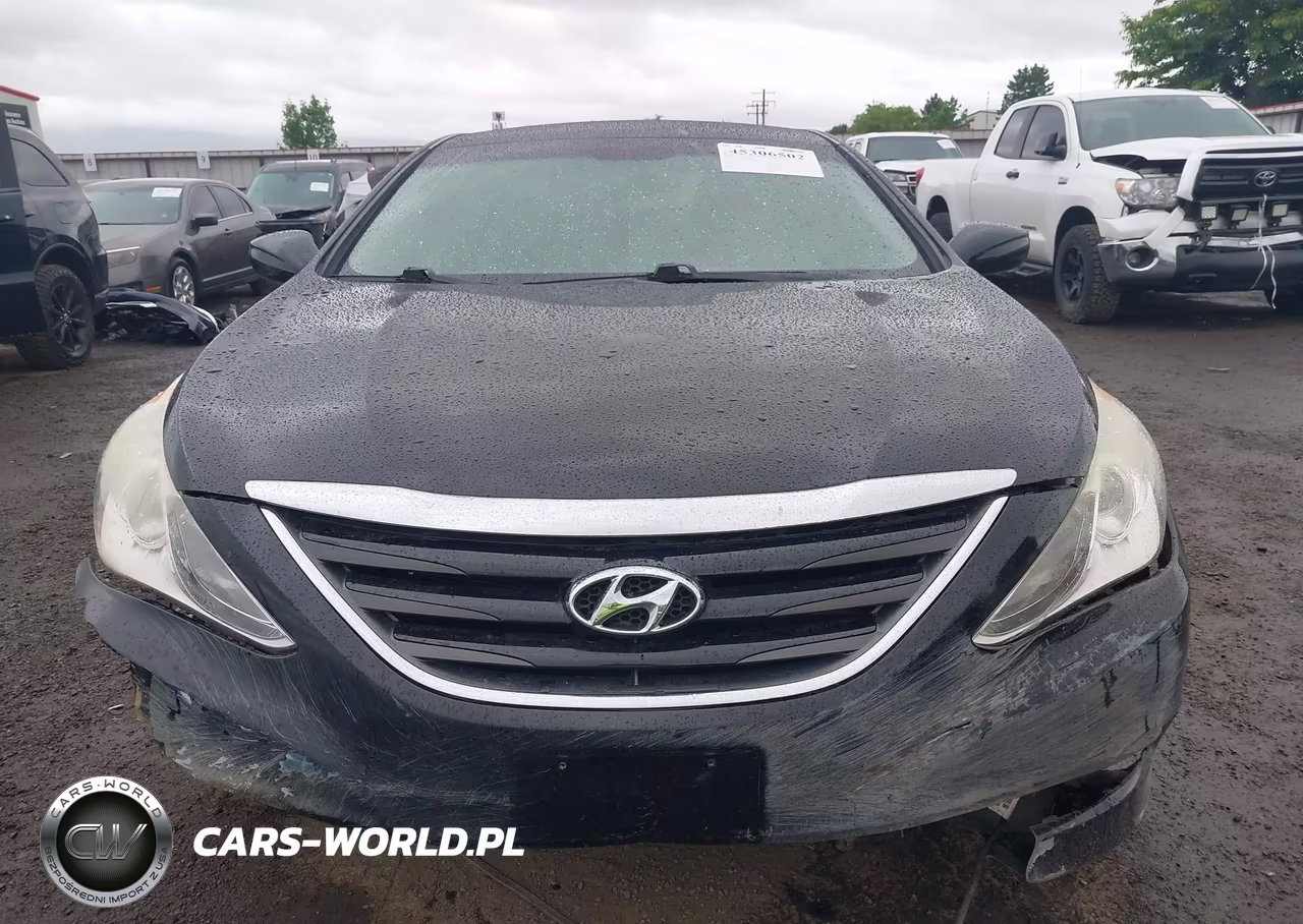 2014 Hyundai Sonata Gls VIN:5NPEB4AC8EH820367 - 13