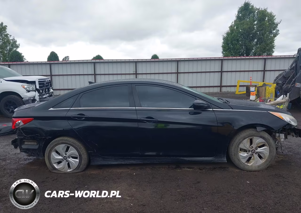 2014 Hyundai Sonata Gls VIN:5NPEB4AC8EH820367 - 14