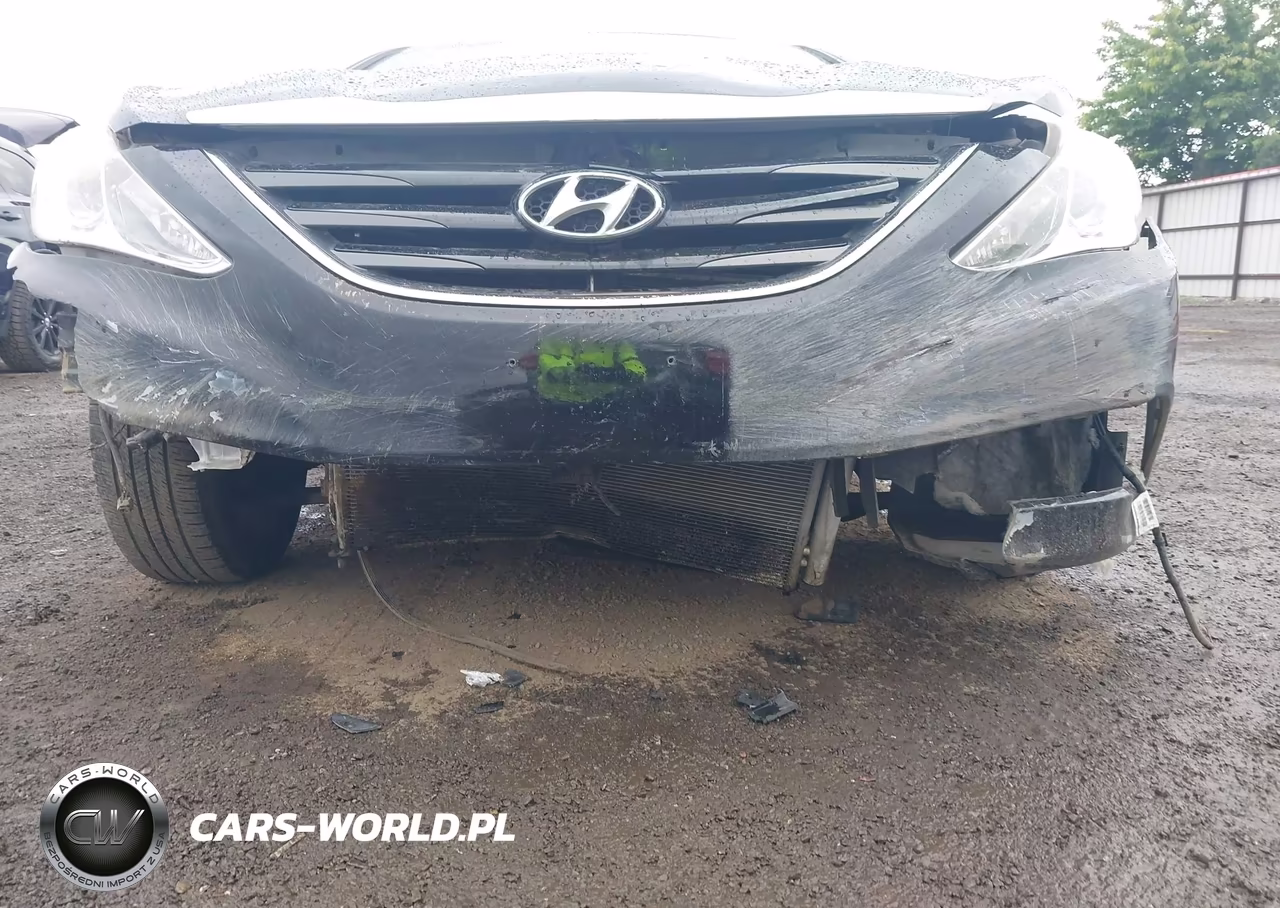 2014 Hyundai Sonata Gls VIN:5NPEB4AC8EH820367 - 6