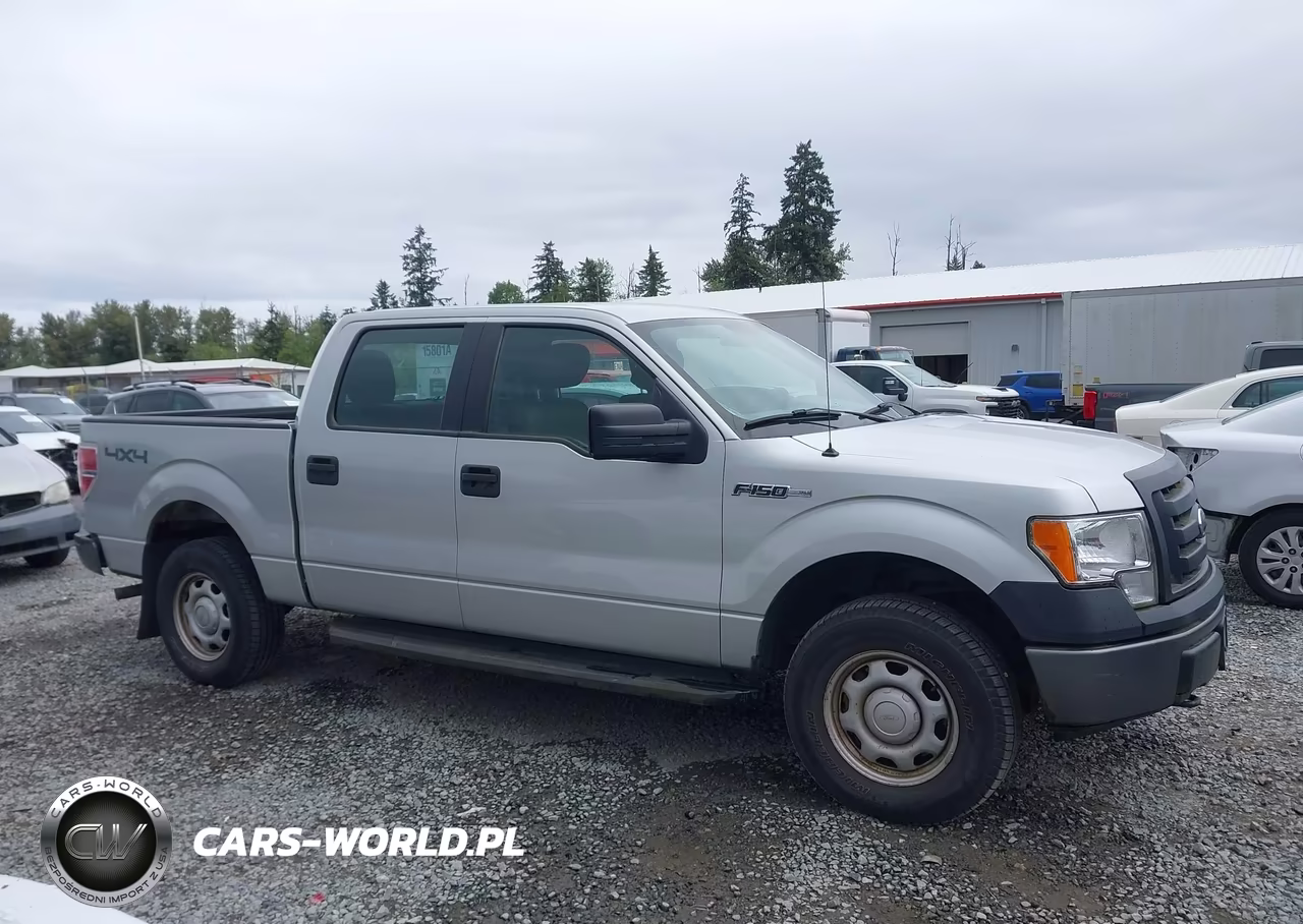 2010 Ford F-150 Xl-Xlt VIN:1FTEW1E8XAFB68252 - 13