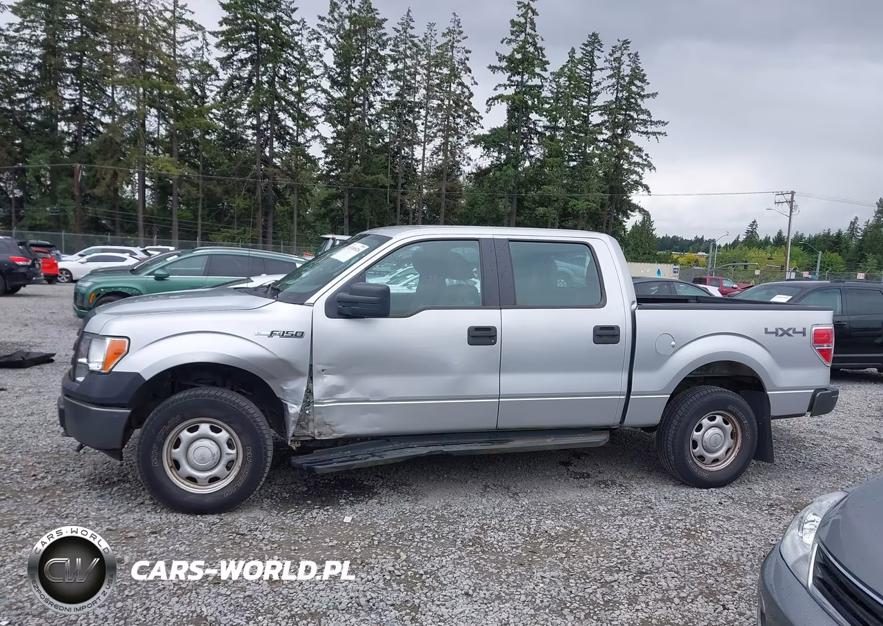 2010 Ford F-150 Xl-Xlt VIN:1FTEW1E8XAFB68252 - 14