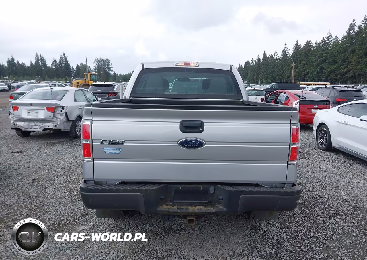 2010 Ford F-150 Xl-Xlt VIN:1FTEW1E8XAFB68252 - 16