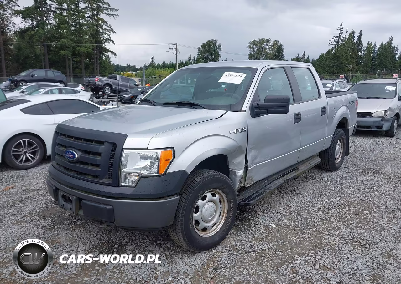 2010 Ford F-150 Xl-Xlt VIN:1FTEW1E8XAFB68252 - 2