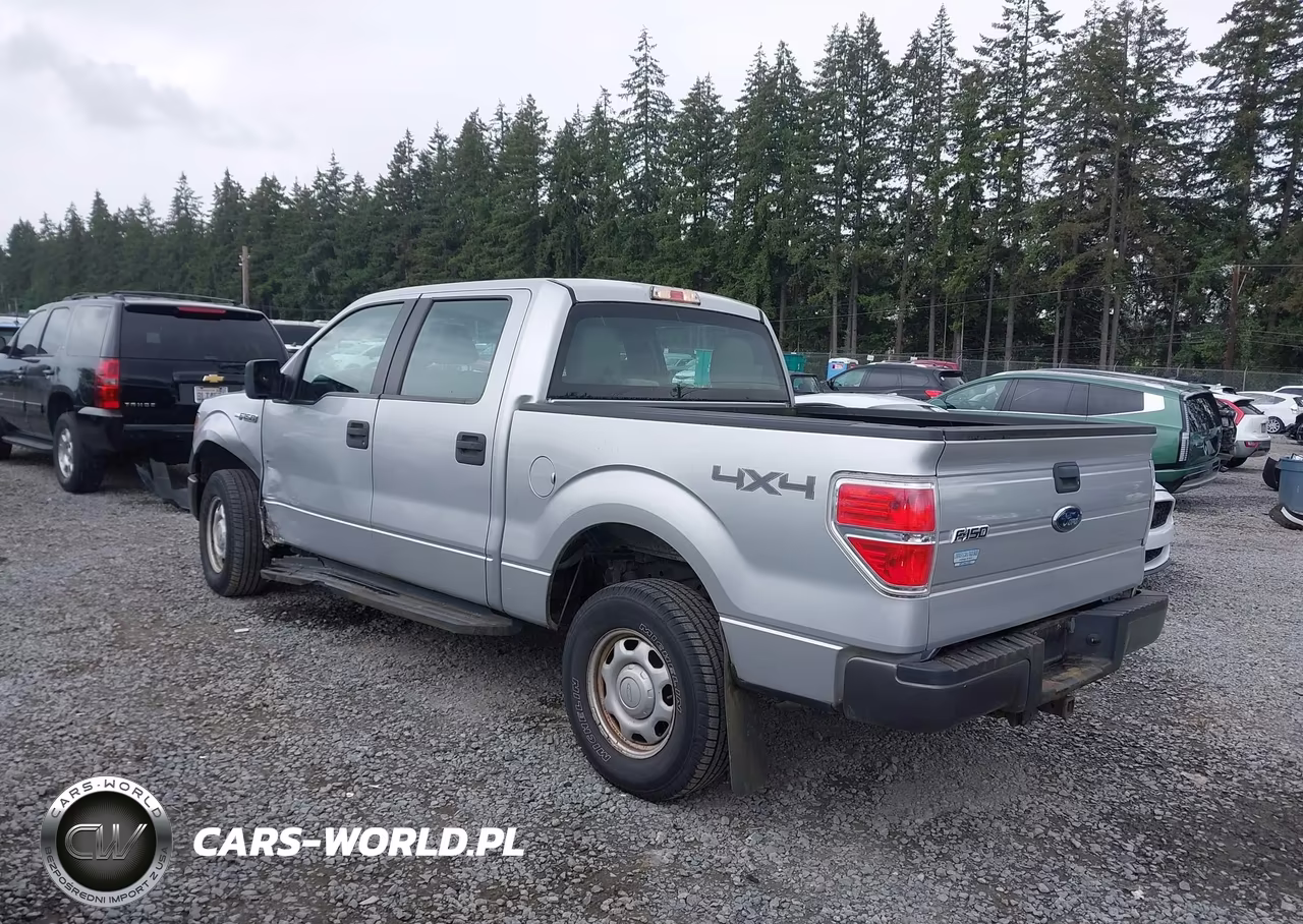 2010 Ford F-150 Xl-Xlt VIN:1FTEW1E8XAFB68252 - 3