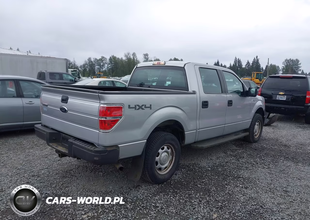 2010 Ford F-150 Xl-Xlt VIN:1FTEW1E8XAFB68252 - 4