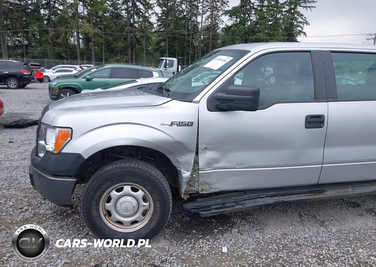 2010 Ford F-150 Xl-Xlt VIN:1FTEW1E8XAFB68252 - 6