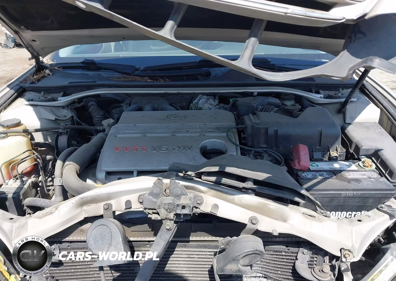 2003 Lexus Es 300 VIN:JTHBF30G530090450 - 10