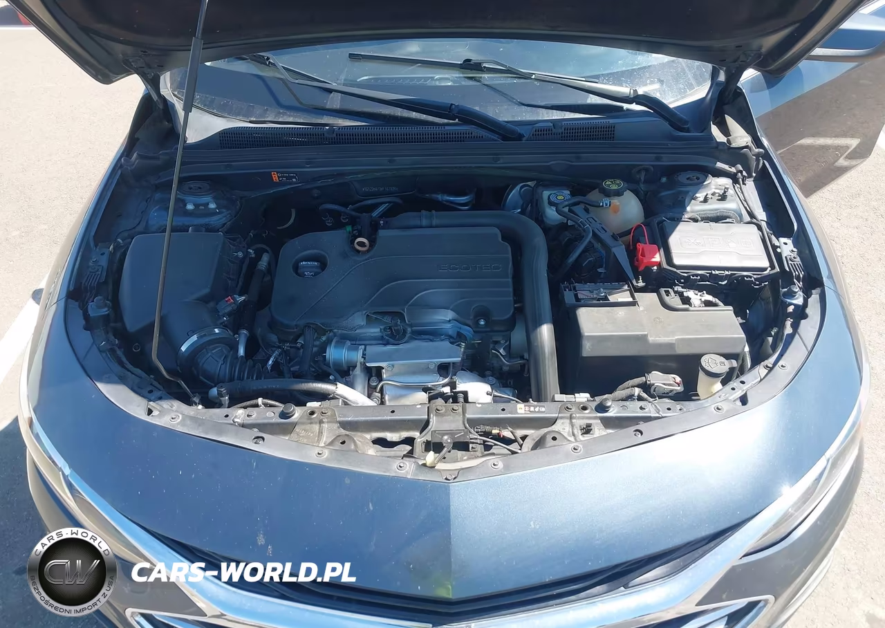 2019 Chevrolet Malibu Lt VIN:1G1ZD5ST0KF167824 - 10
