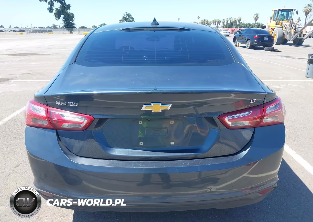 2019 Chevrolet Malibu Lt VIN:1G1ZD5ST0KF167824 - 16