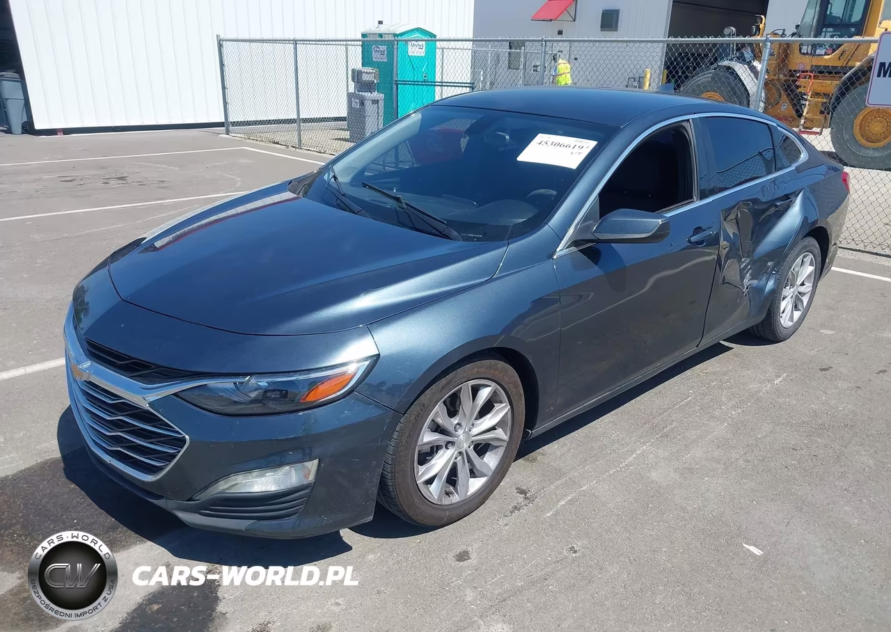 2019 Chevrolet Malibu Lt VIN:1G1ZD5ST0KF167824 - 2