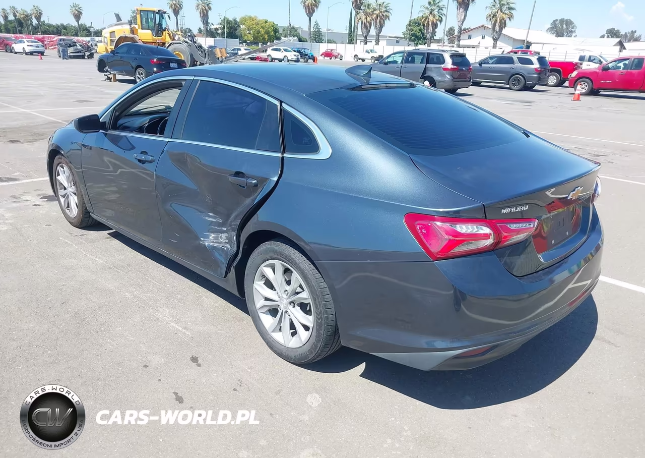 2019 Chevrolet Malibu Lt VIN:1G1ZD5ST0KF167824 - 3