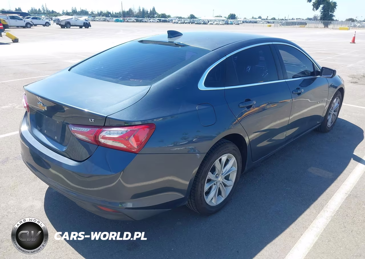2019 Chevrolet Malibu Lt VIN:1G1ZD5ST0KF167824 - 4