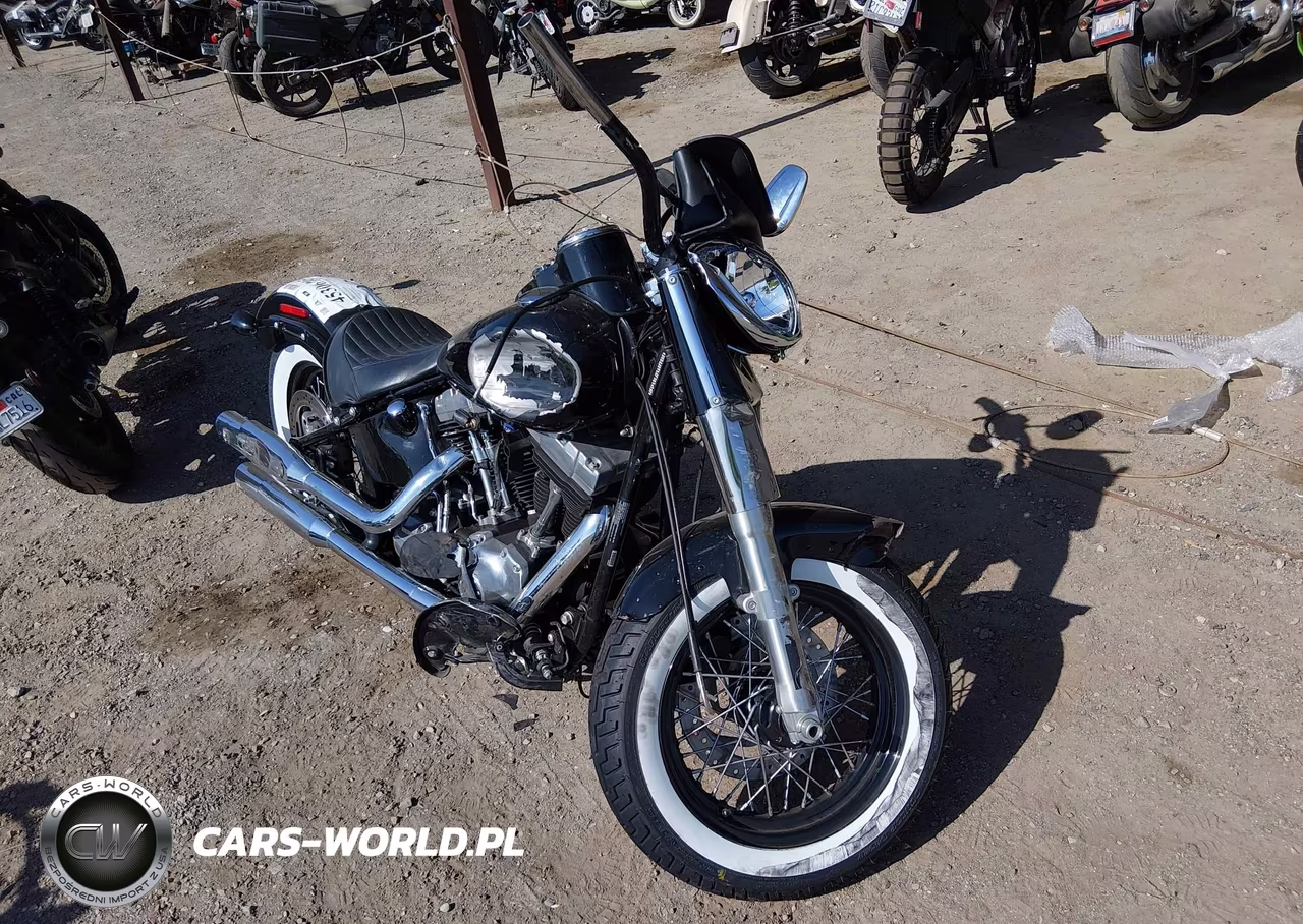 2015 Harley-Davidson Fls Softail Slim – zdjęcie 1 z 13