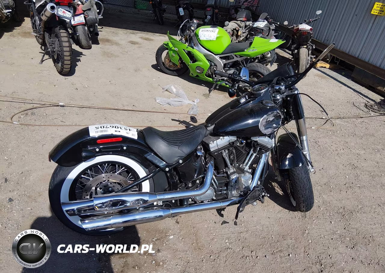 2015 Harley-Davidson Fls Softail Slim VIN:1HD1JRV31FB034257 - 12