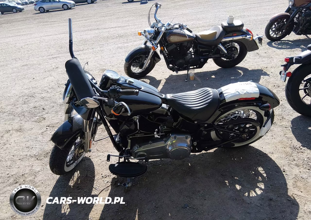 2015 Harley-Davidson Fls Softail Slim VIN:1HD1JRV31FB034257 - 13
