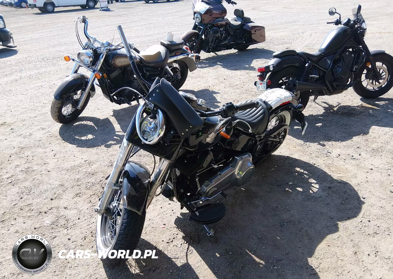 2015 Harley-Davidson Fls Softail Slim VIN:1HD1JRV31FB034257 - 2