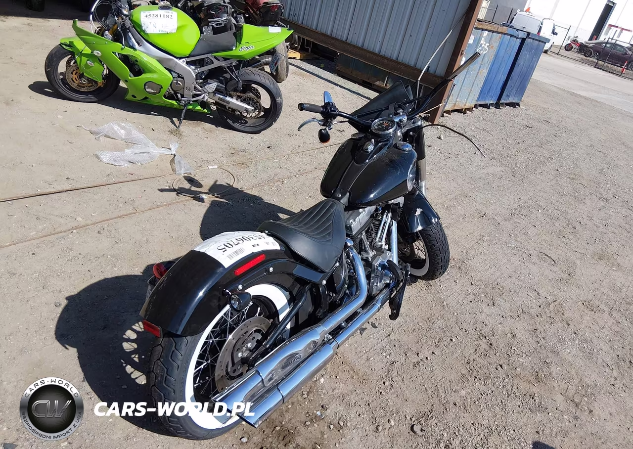 2015 Harley-Davidson Fls Softail Slim VIN:1HD1JRV31FB034257 - 4