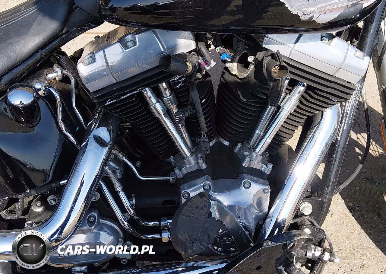 2015 Harley-Davidson Fls Softail Slim VIN:1HD1JRV31FB034257 - 8