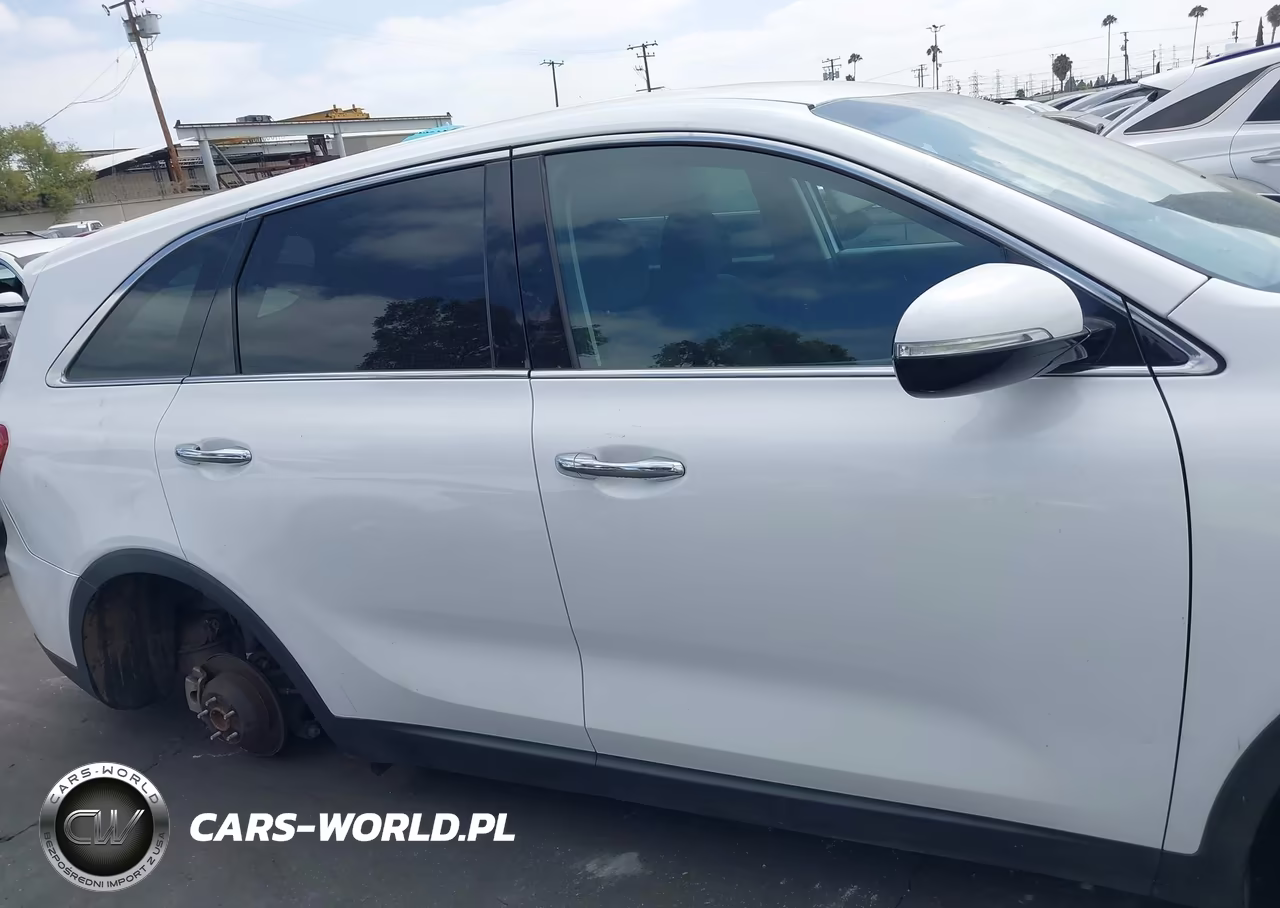 2019 Kia Sorento 2.4L Lx VIN:5XYPG4A37KG536435 - 13