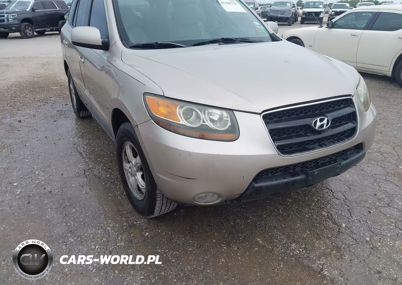 2007 Hyundai Santa Fe Gls VIN:5NMSG13D87H054620 - 12